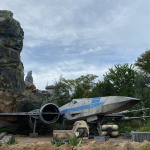 Meet your Posher, Travis